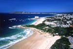 plett